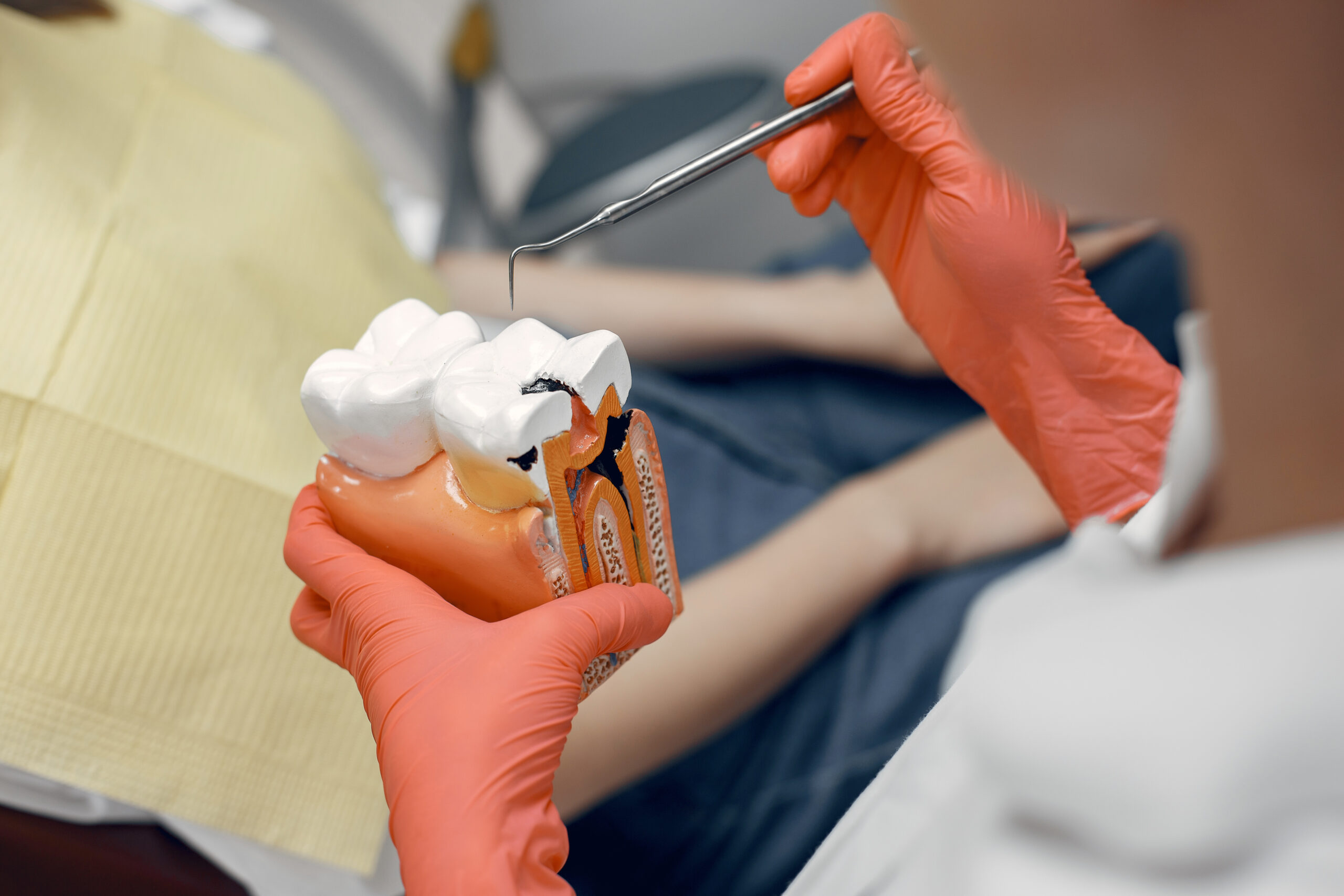 model-zeba-u-dentysty-lekarz-pokazuje-pacjentowi-zab-odbior-w-gabinecie-stomatologicznym-scaled.jpg